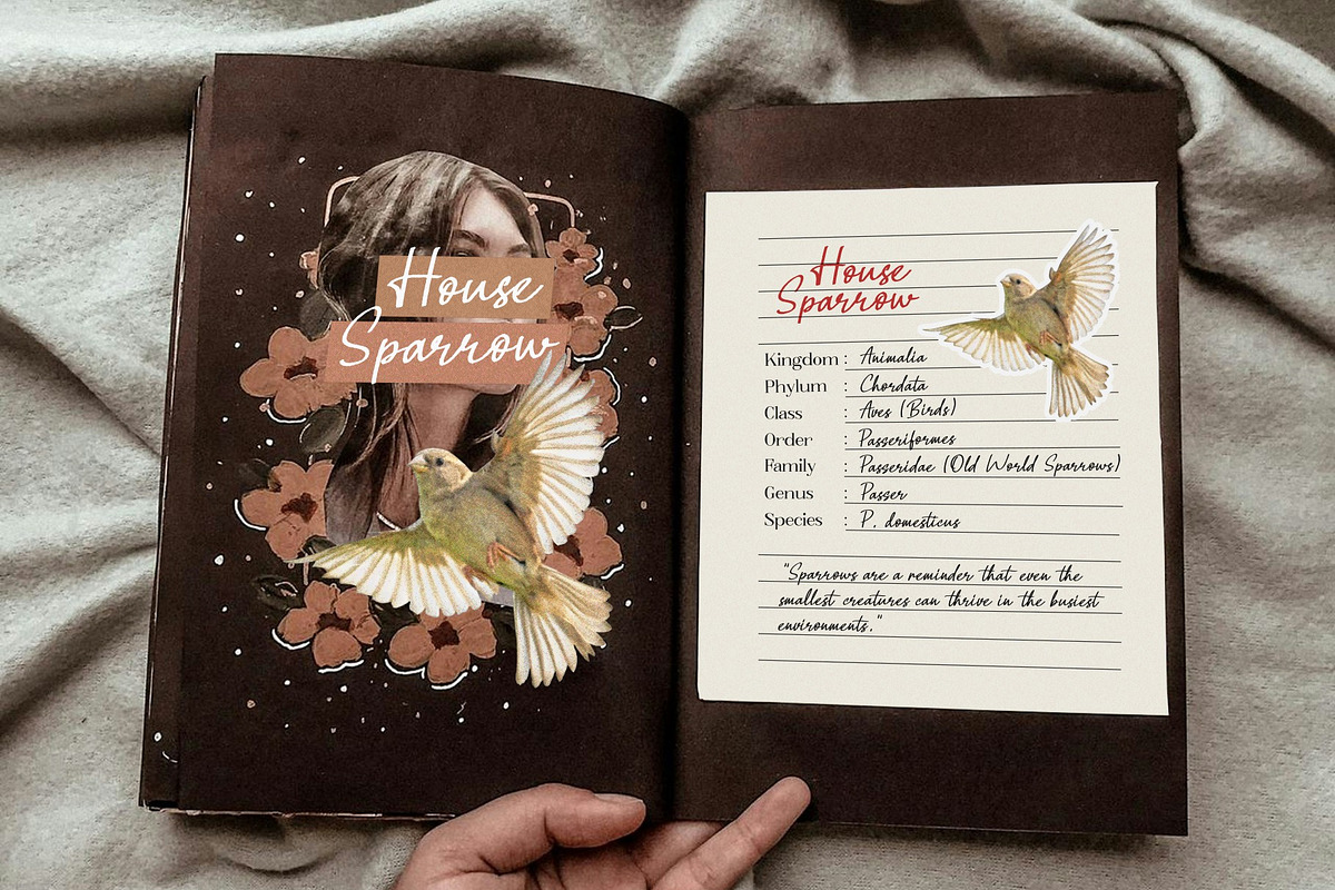 Austin Lilly / Organic Handwritten, a Handwritten Font by Java pep (Photo 5 of 15)