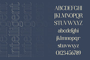 Wondernesia Nostalgic & Modern Serif, a Serif Font by Lettertype Studio (Thumbnail 6 of 15)