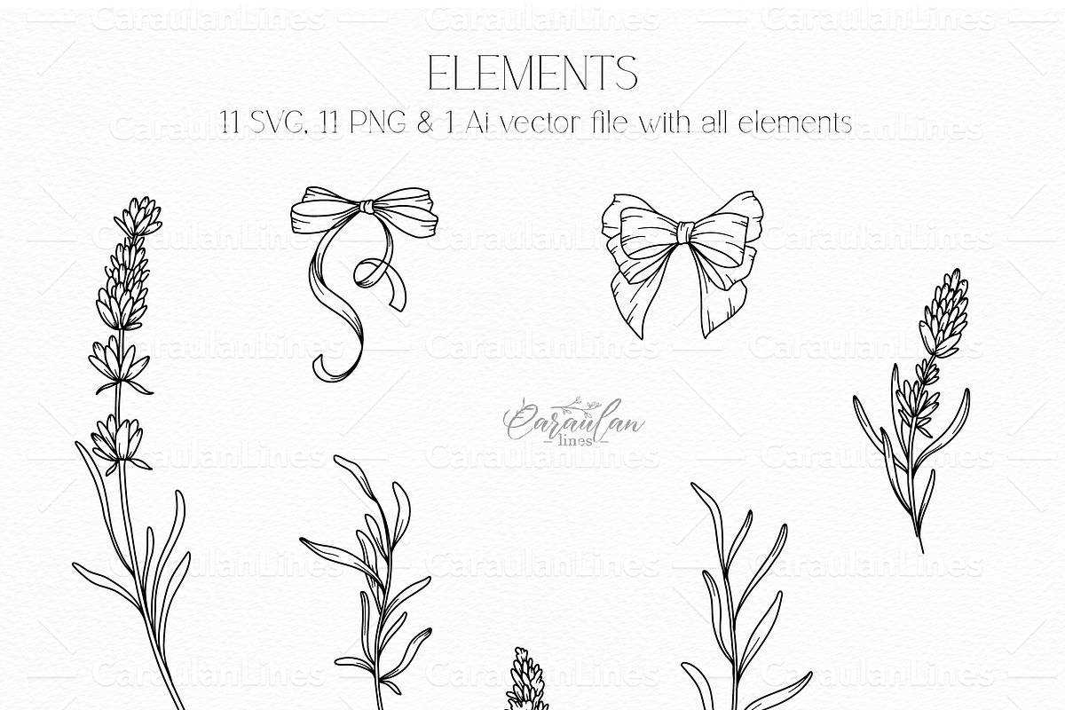 Lavender Clipart Line Art, an Object Graphic by CaraulanStore (Photo 6 of 10)