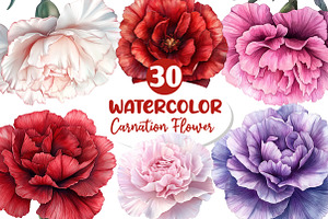 Watercolor Carnation Flower Clipart, an Illustration by Dream Creation