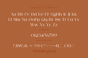 CHAREN || a modern display serif, a Serif Font by ToniStudio (Thumbnail 6 of 9)