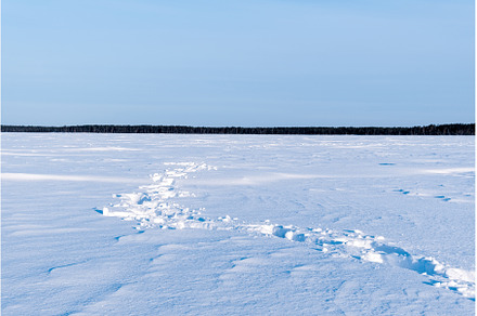 Road tracks on winter lake sunny, a Holiday Photo by darksoul72