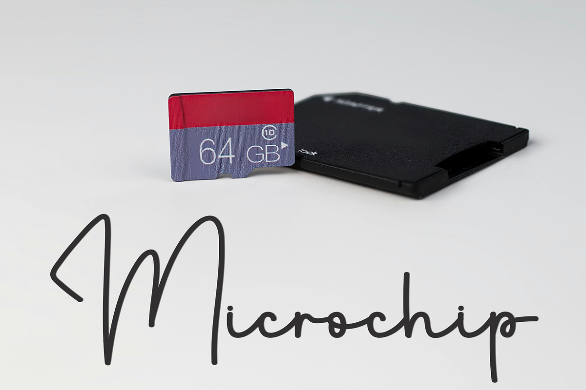 Back School, a Handwritten Font by InermediaSTUDIO (Photo 4 of 8)