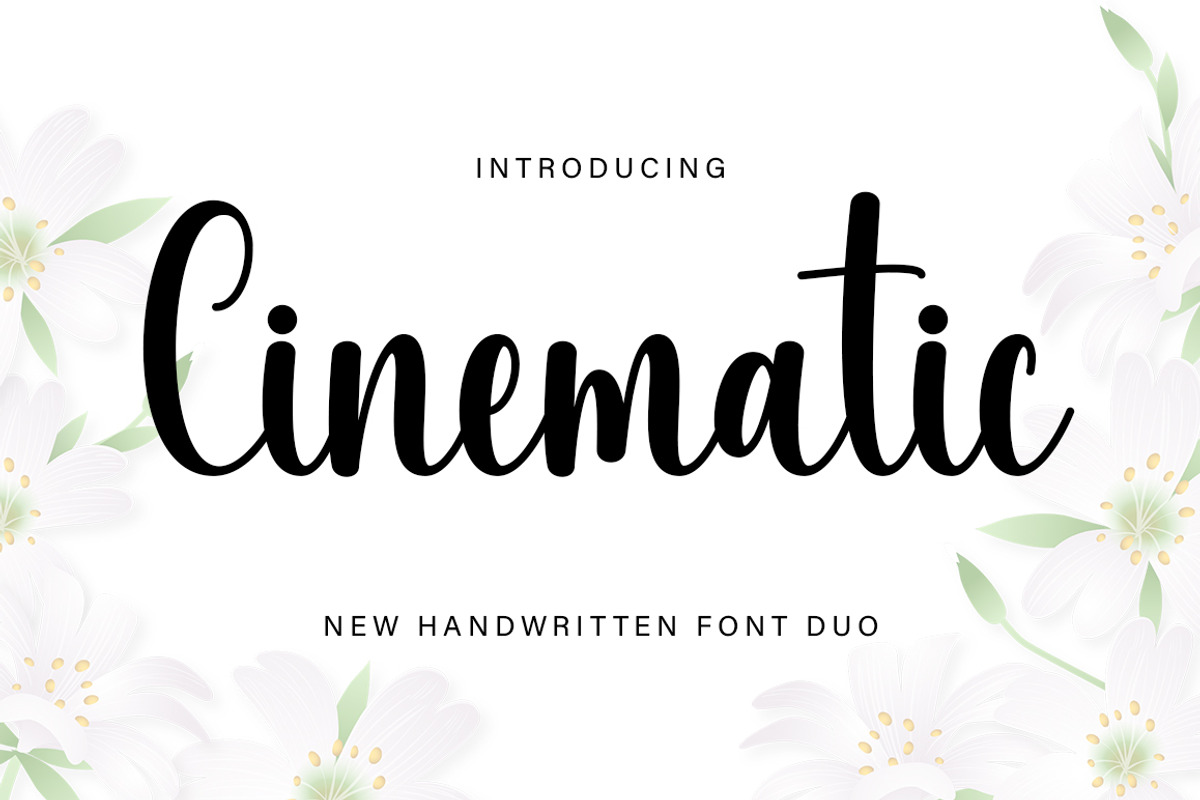 Cinematic, a Handwritten Font by DN Creative (Photo 1 of 6)