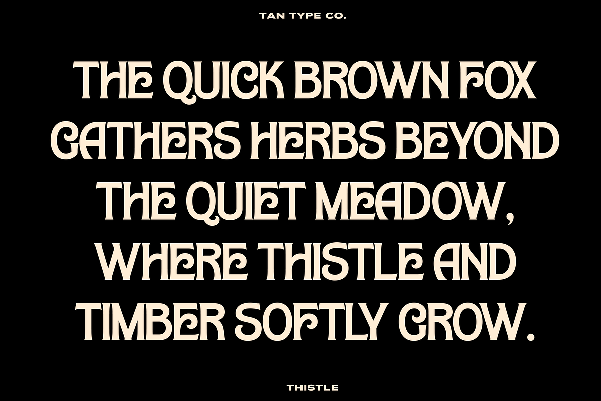 TAN-THISTLE-A DISPLAY FONT, a Slab Serif Font by TanType (Photo 10 of 10)