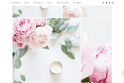 Splendid Wordpress Theme, a WordPress Template by brave + beautiful designs (Thumbnail 5 of 5)