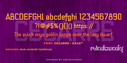 Cecarre™, a Sans Serif Font by MINDCANDY (Thumbnail 3 of 4)