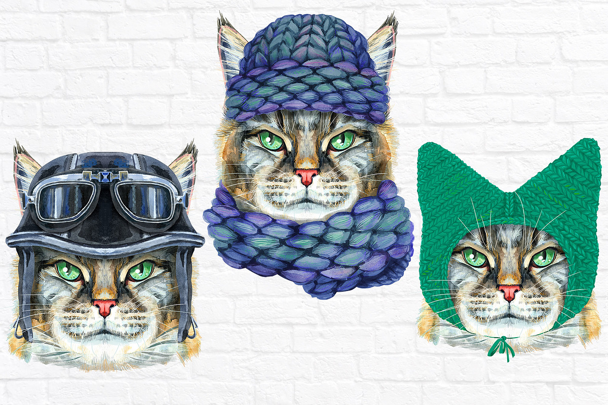 Portraits of Maine Coon cat, an Animal Illustration by Watercolor fantasy (Photo 6 of 6)