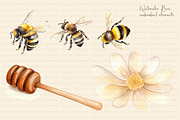 Watercolor Bee Set, an Animal Illustration by Dazzling Art Boutique (Thumbnail 2 of 5)