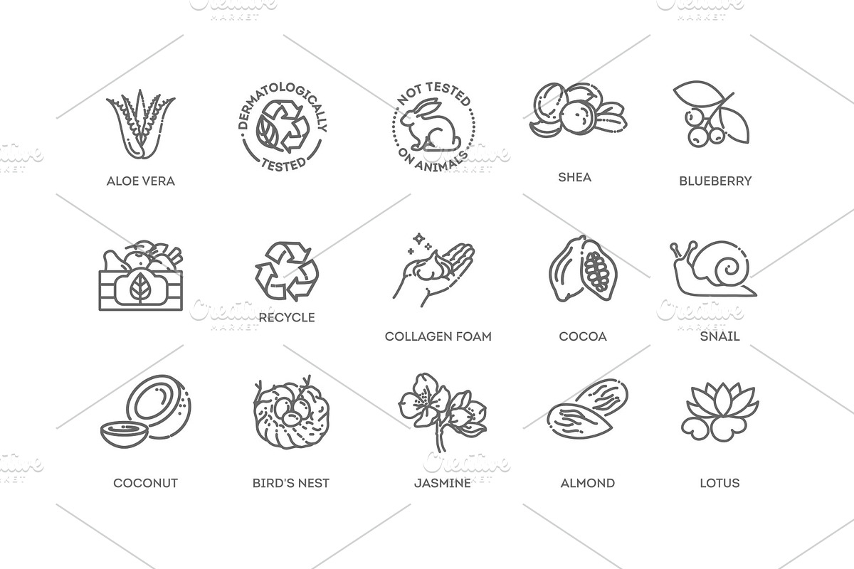 Natural Organic Cosmetics, a Food Illustration by Tettygreen (Photo 4 of 4)