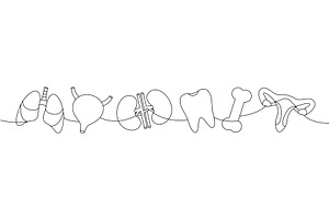 Set of human organ one line, a Healthcare Illustration by GraphiShop