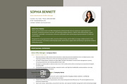 Professional Resume Template, a Resume Template by Anjum Ilyas (Thumbnail 1 of 6)