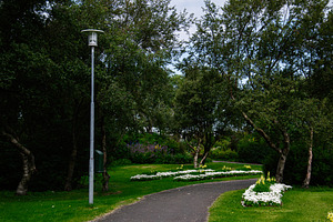 Beautiful park path with flowers and trees in Reykjavik, Iceland, a Photo by AS photostudio