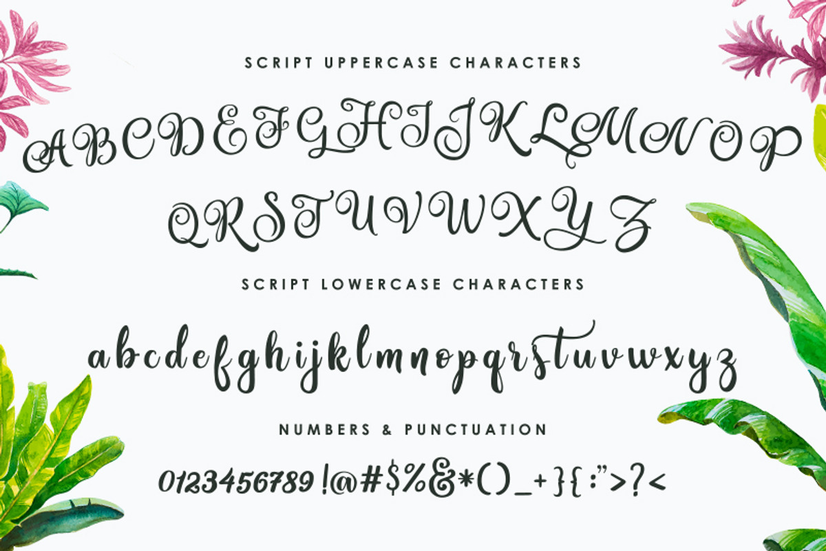 Amastery Font DUO and extras, a Script Font by BlackCatsMedia (Photo 3 of 13)