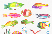 Tropical fish watercolor collection, an Animal Illustration by Eomoiart (Thumbnail 2 of 2)