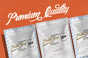 The Anthelope - Retro Script Font, a Script Font by StringLabs (Thumbnail 6 of 14)