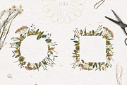 Herbarium Watercolor Collection, a Texture Illustration by Julia Dreams (Thumbnail 6 of 8)