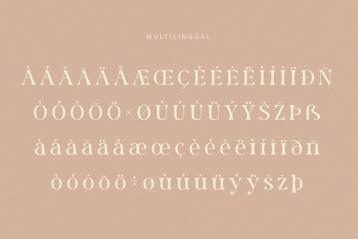 Rolaxs, a Serif Font by ToniStudio (Photo 8 of 10)