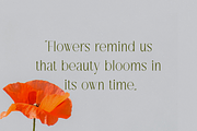 Rosalie Chic Serif, a Serif Font by gafaroff studio (Thumbnail 3 of 6)