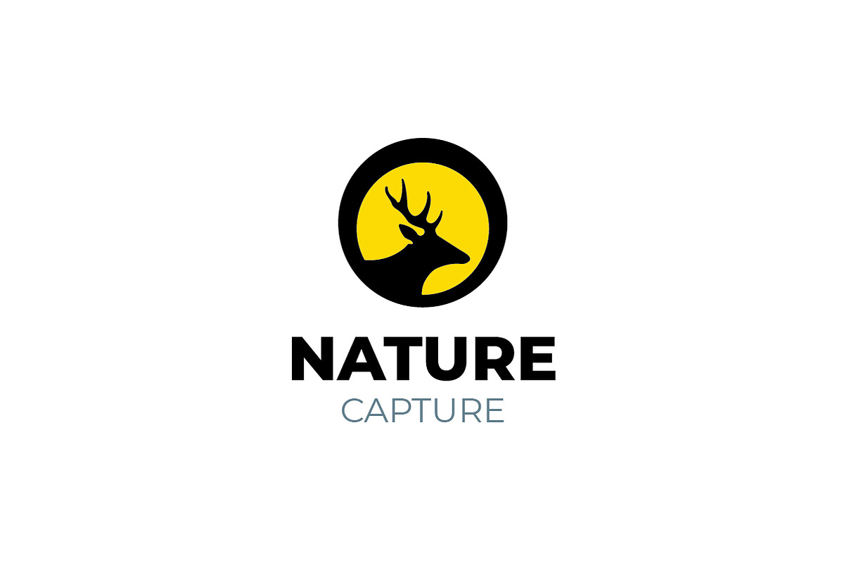 Wildlife Photography Deer Logo, a Branding & Logo Template by bvcreates (Photo 1 of 6)