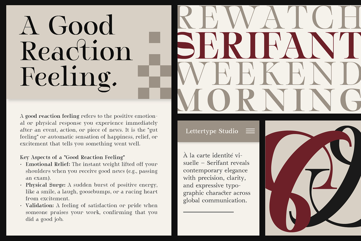 Serifant Family | Intro 50% OFF, a Serif Font by Lettertype Studio (Photo 4 of 15)