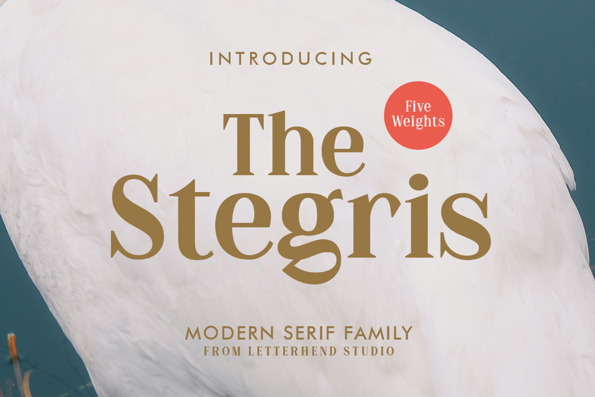 The Stegris Serif Family - 5 Weights, a Serif Font by Letterhend Studio (Photo 1 of 9)