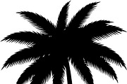 Palm Tree SVG Bundle, an Illustration by Creativeshirt (Thumbnail 7 of 7)