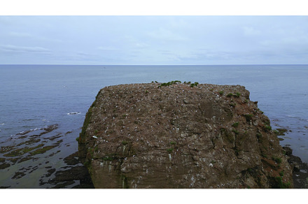 Sea rock with house for seagulls, a Nature Photo by Media Whale Stock