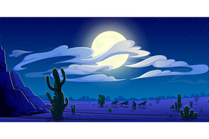 Arizona Night Desert Landscape