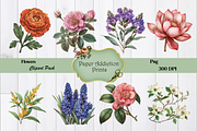 70 Flower Clipart Images, a Decorative Illustration by Paper Addiction Prints (Thumbnail 9 of 10)