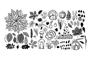 Set of autumn monochrome elements, an Object Illustration by Nenahliadava Design