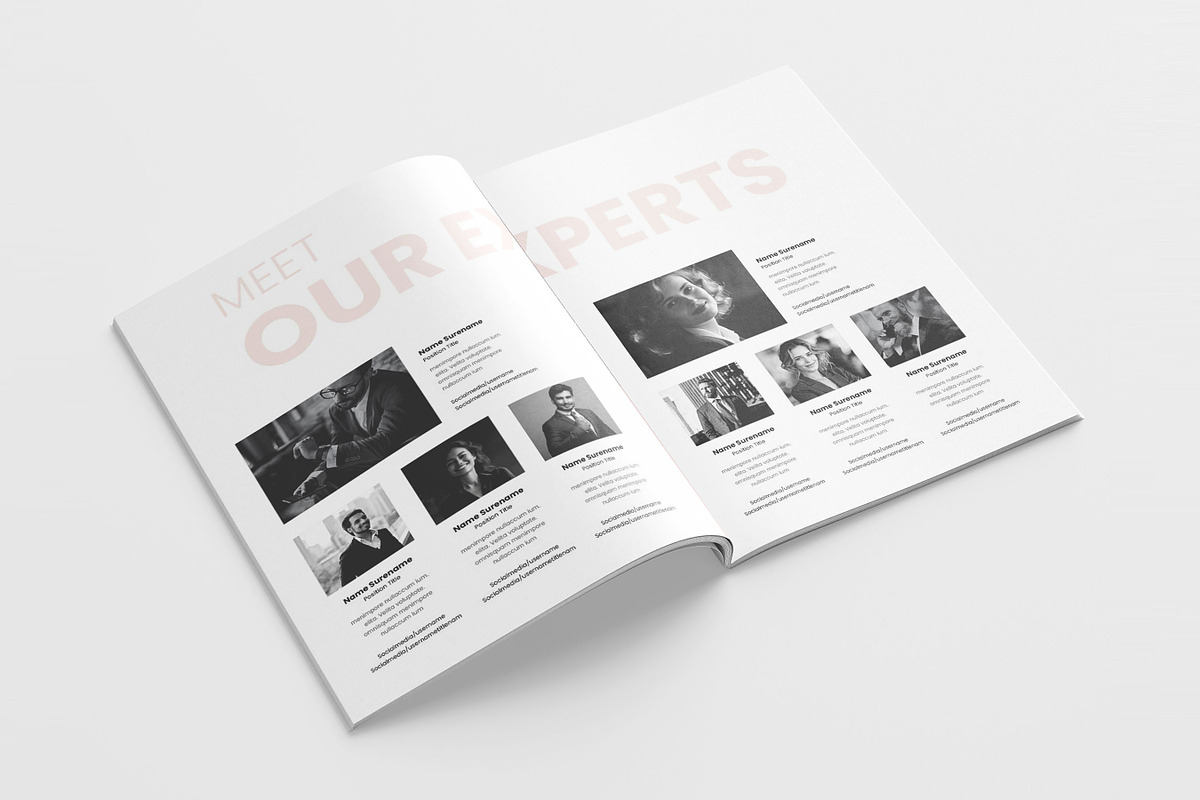 Business Proposal Template, Brochure, a Brochure Template by Niofix (Photo 3 of 6)