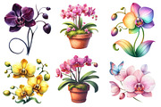 Watercolor Orchid Clipart, an Illustration by Designworld (Thumbnail 2 of 7)
