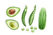 Watercolor organic food, a Food Illustration by Katya Zlobina (Thumbnail 2 of 9)