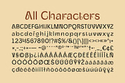 CS Regina – Art Nouveau Font, a Sans Serif Font by Craft Supply Co. (Thumbnail 7 of 8)