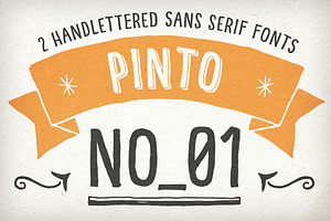 Hand Drawn Pinto NO_01 for Packaging