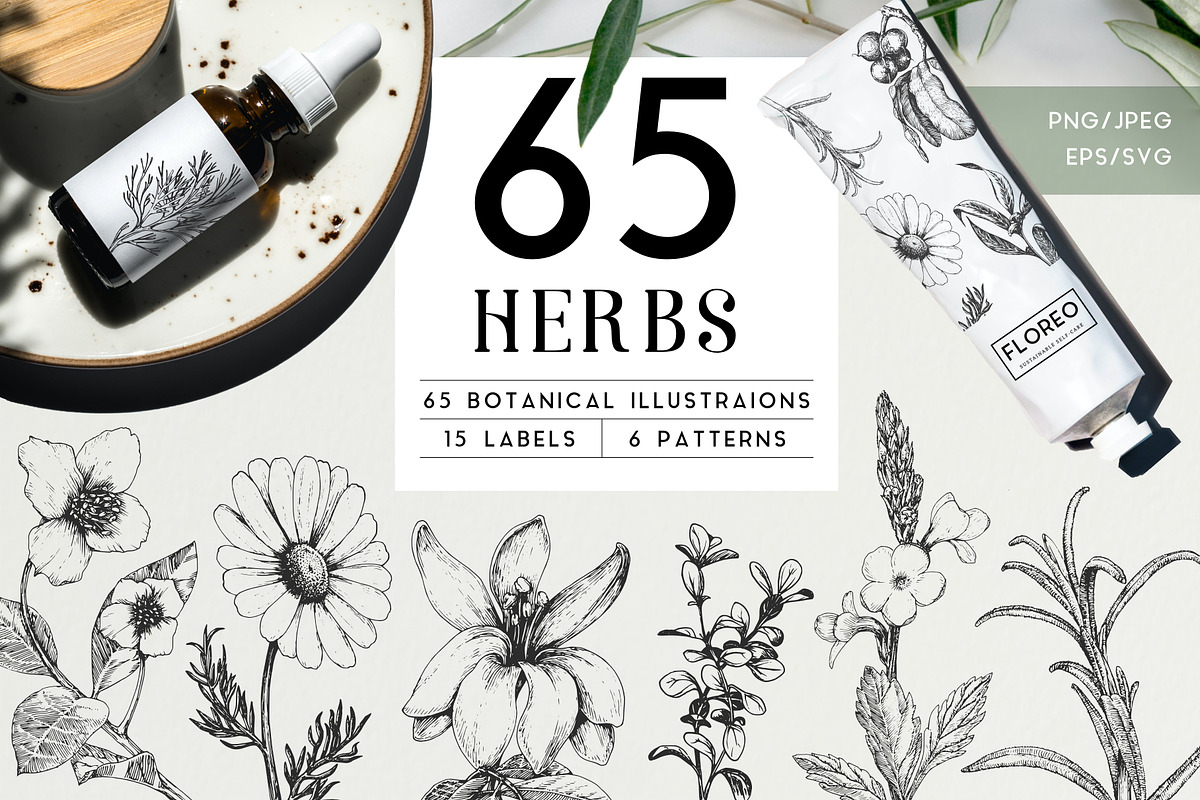 Herbs, spices, nuts & fruits. Bundle, a Food Illustration by Chewie Co (Photo 1 of 15)