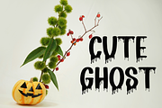Ghost Hunter, a Serif Font by InermediaSTUDIO (Thumbnail 7 of 8)