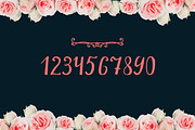 55% OFF Mirelle script + Bonus, a Script Font by Vintage Shop (Thumbnail 4 of 6)