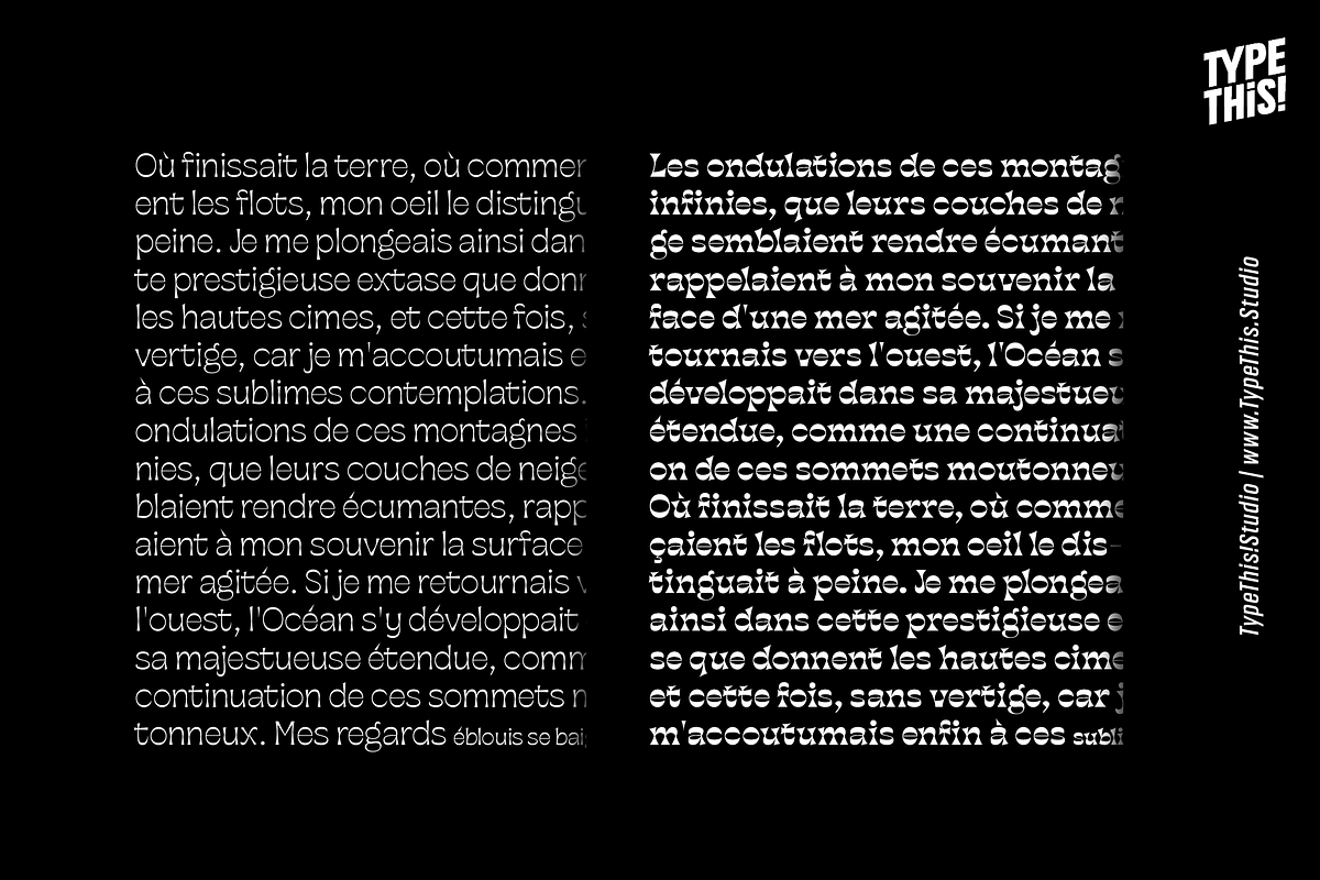 Horizona Reverse Contrast Font, a Sans Serif Font by TypeThis!Studio (Photo 8 of 9)
