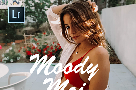 Lightroom preset - Blogger preset preview 7