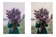 Moody presets for Lightroom + mobile, an Action Add-On by BeArt-Presets (Thumbnail 5 of 18)