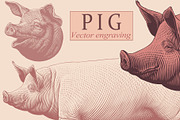 Design set Pig. Vector engraving, an Animal Illustration by Vector Engraving (Thumbnail 1 of 2)