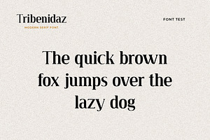 Tribenidaz Serif Display Font