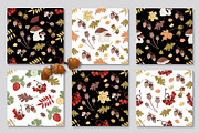 FALL ADVENTURES, an Animal Illustration by FARAWAYKINGDOM (Thumbnail 6 of 11)
