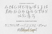 Callistia Signature, a Script Font by Silverdav (Thumbnail 10 of 11)
