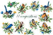 Forest Birds - Gouache Clipart Set, an Animal Illustration by Mashamashastu (Thumbnail 4 of 11)