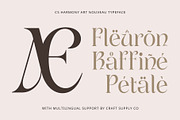 CS Harmony – Uncial Font, a Serif Font by Craft Supply Co. (Thumbnail 4 of 8)