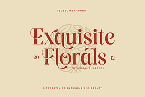 Drakune - Beauty Elegant Serif