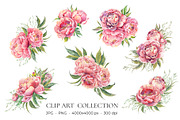 PEONY watercolor clip art & patterns, an Object Graphic by Jeanna Draw (Thumbnail 3 of 15)